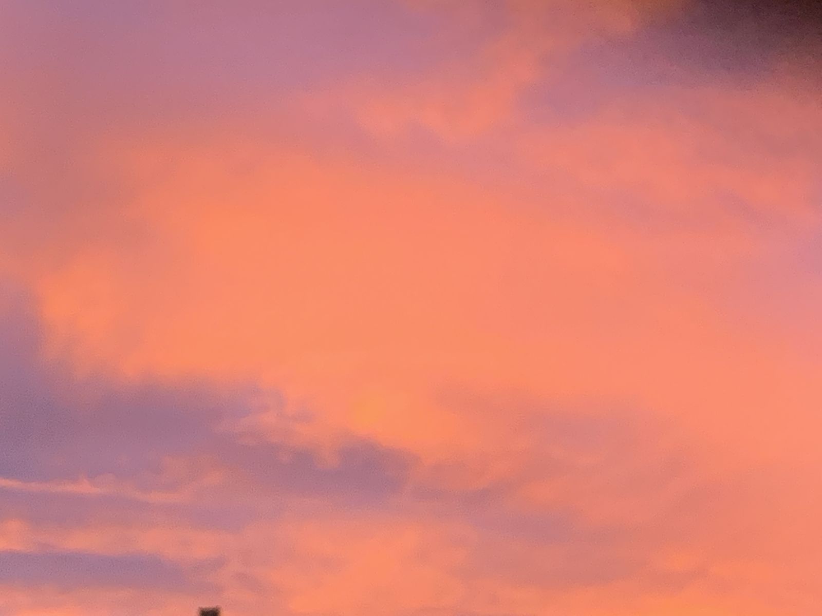 the goddess known as they