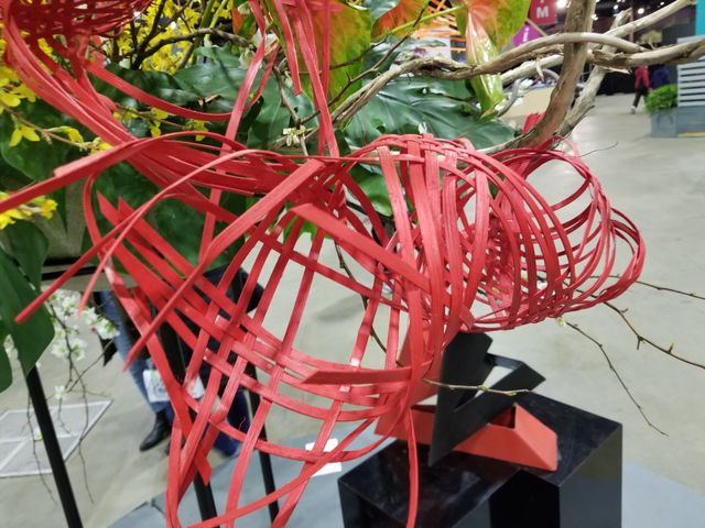 Image uploaded by user