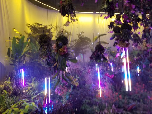 Image uploaded by user