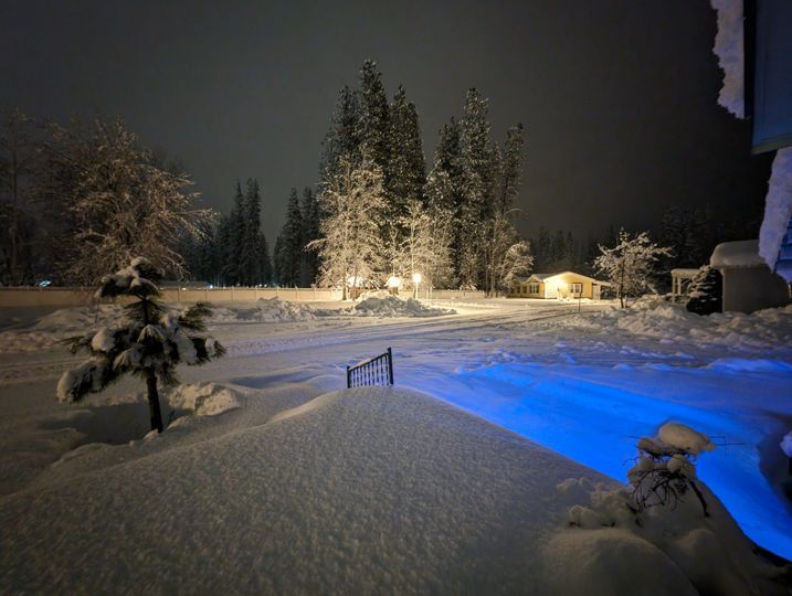 Moonlight in Vermont