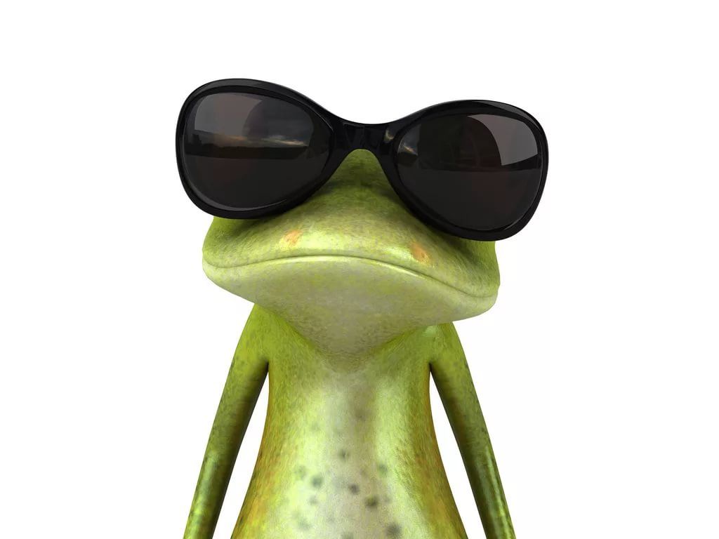 FrozentFrog