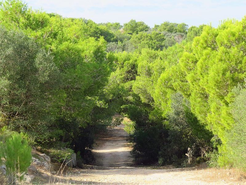 An impressionistic painting