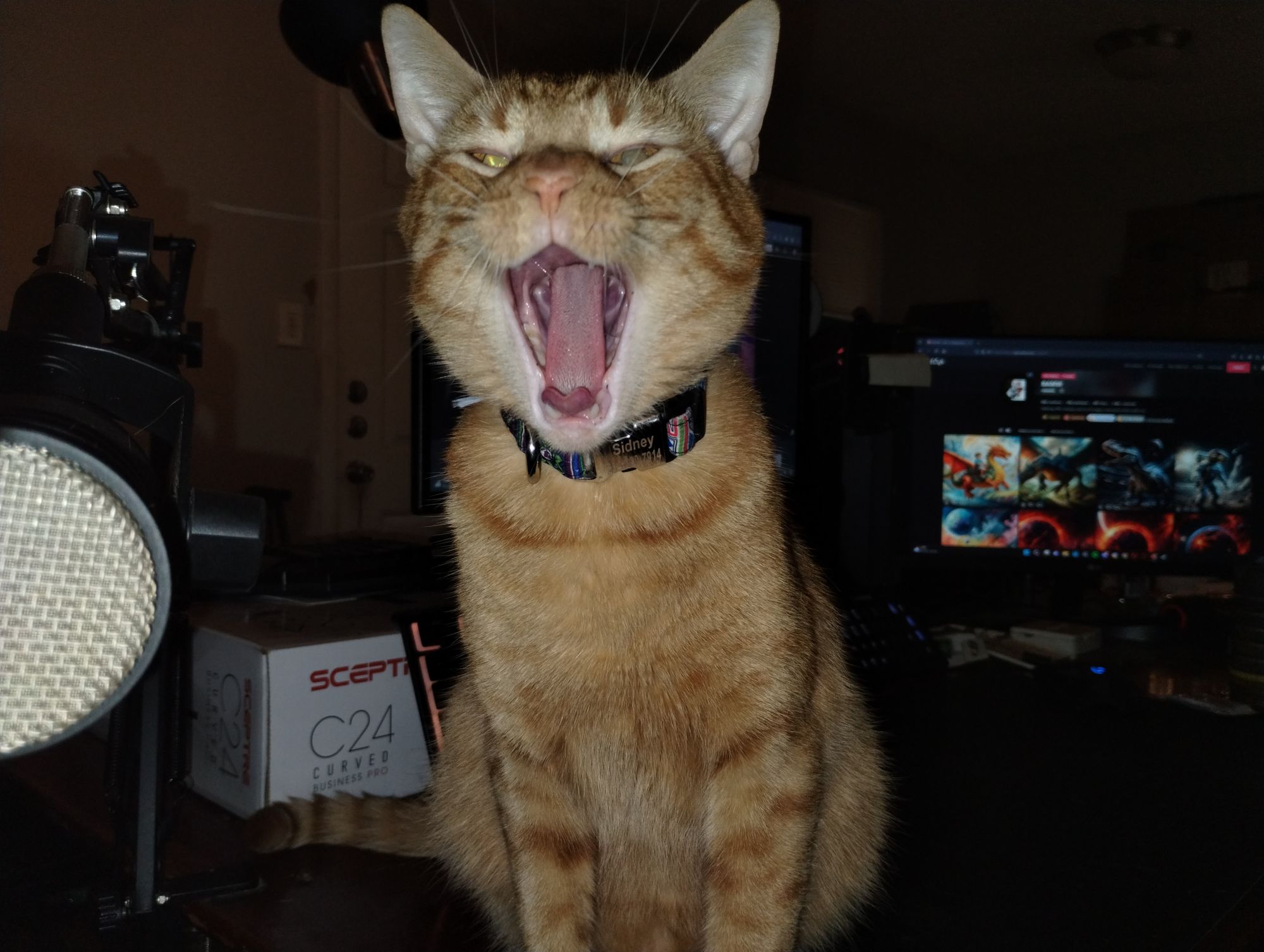 Big Yawn
