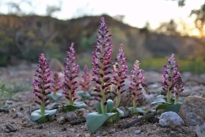 Image uploaded by user