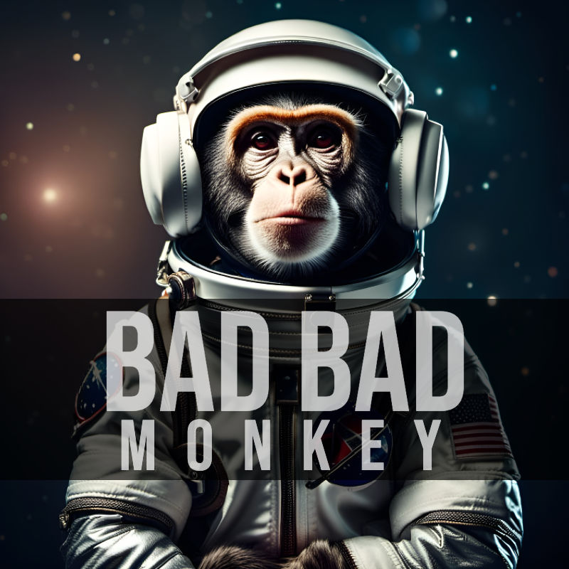Bad Bad Monkey