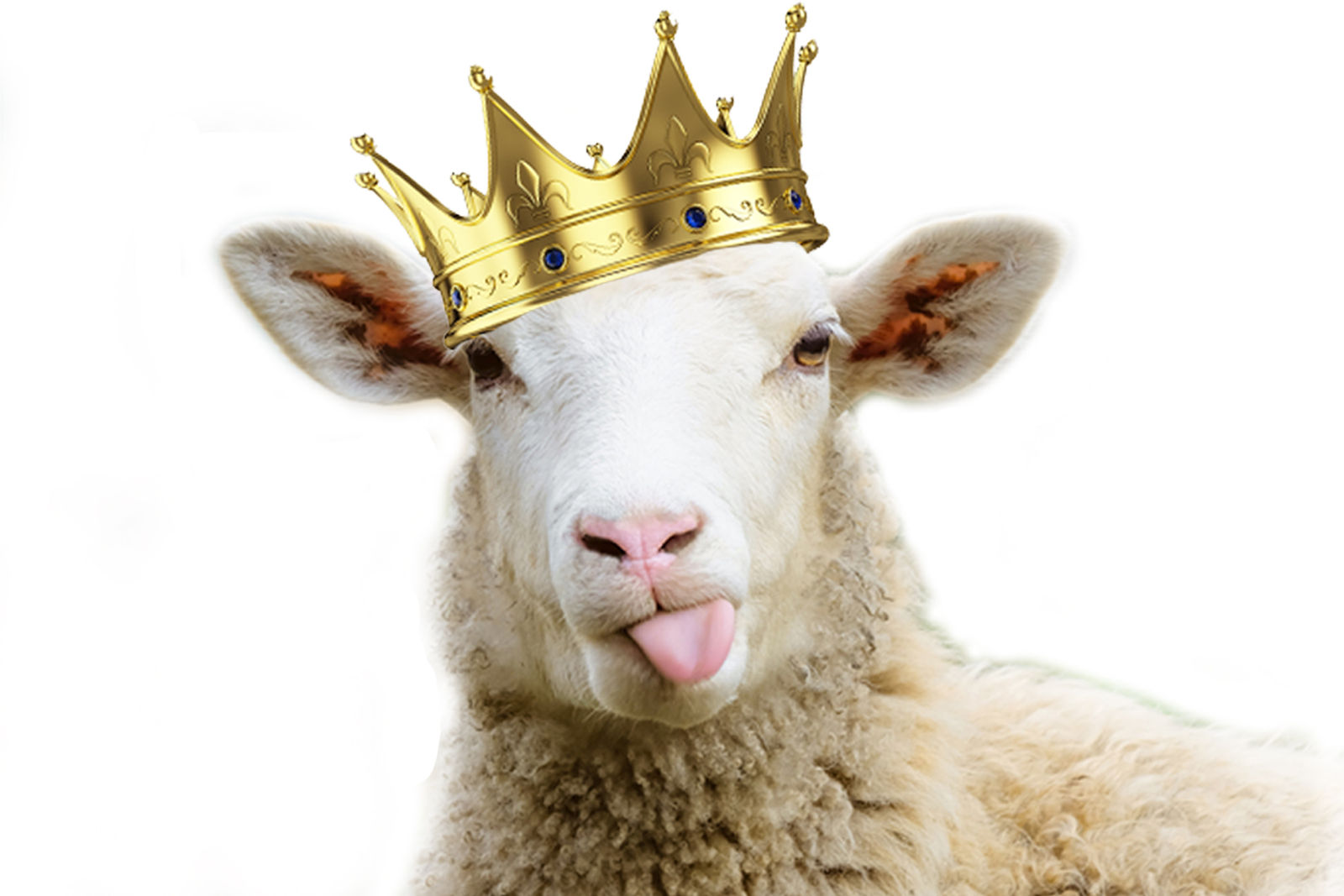 HolySheep