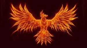 the phoenix
