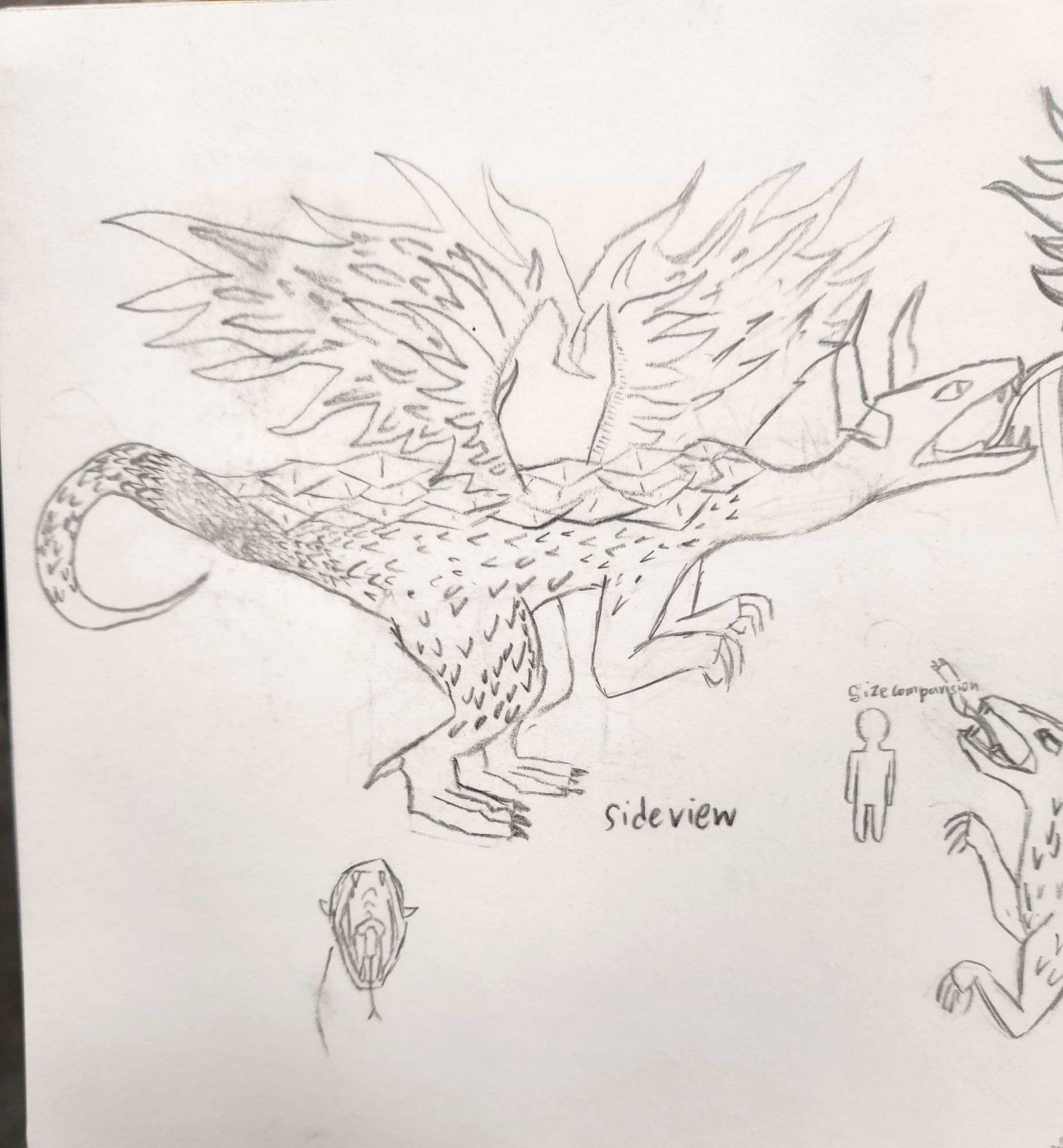 A large dragon with a Snake head and Snake tail, it have magical wings and have claws of a hummingbird and having a wolf like leg and tortoi...