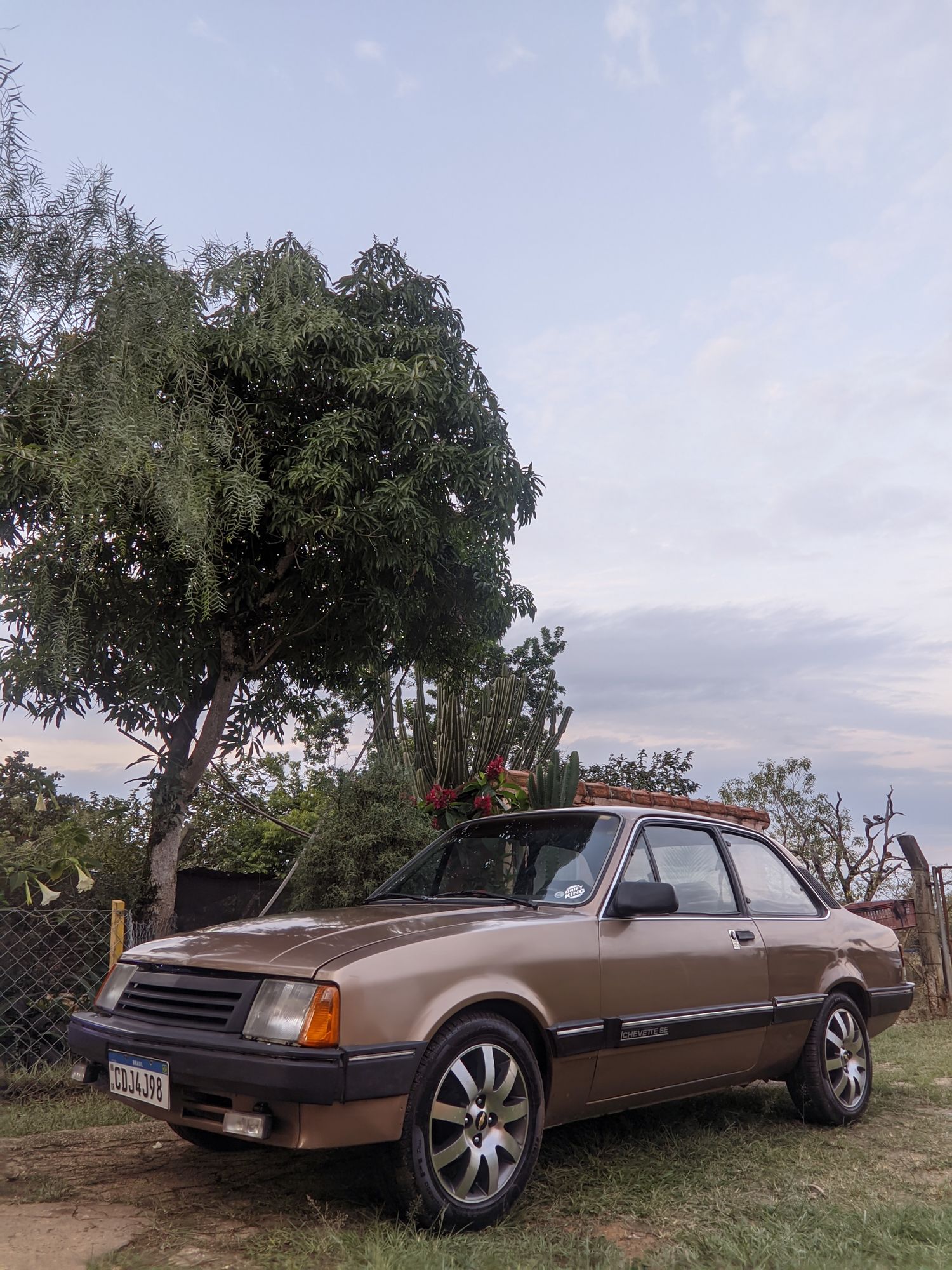 Carro , com um homem erguendo uma bandeira atrás escrito  "Autohoff garage"