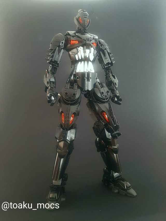 Image uploaded by user