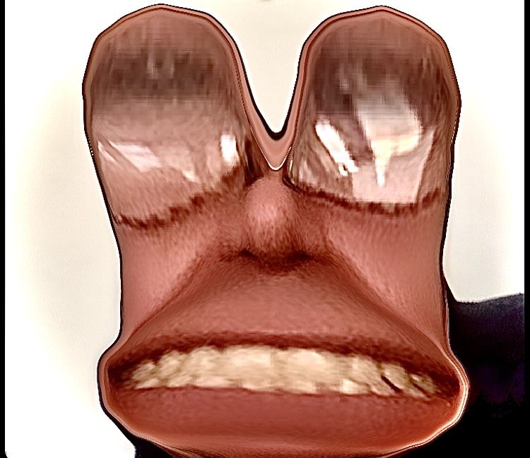 Bruno Rudolph
