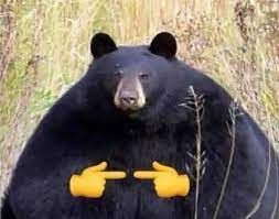 Image uploaded by user