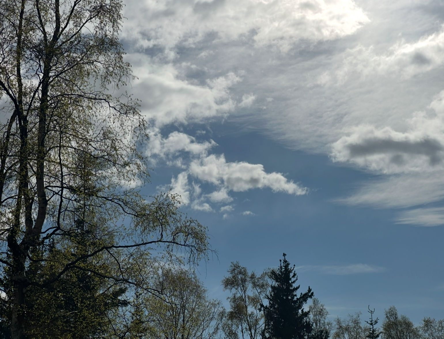 Impressionist painting Landscape sky trees clouds sun 