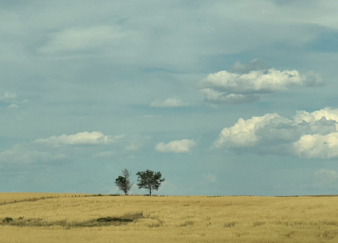 Watercolor painting landscape big sky lone tree