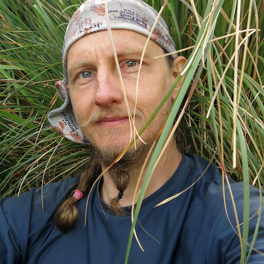 Tacio Philip - macrofotografia