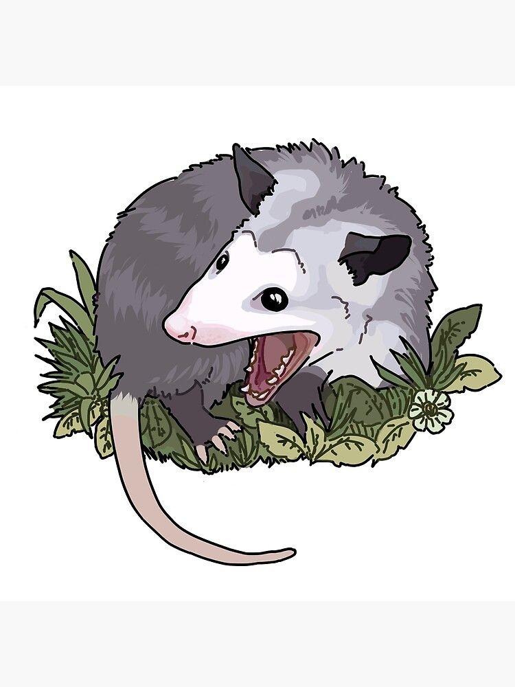 Just a Girl Who Loves Opossums