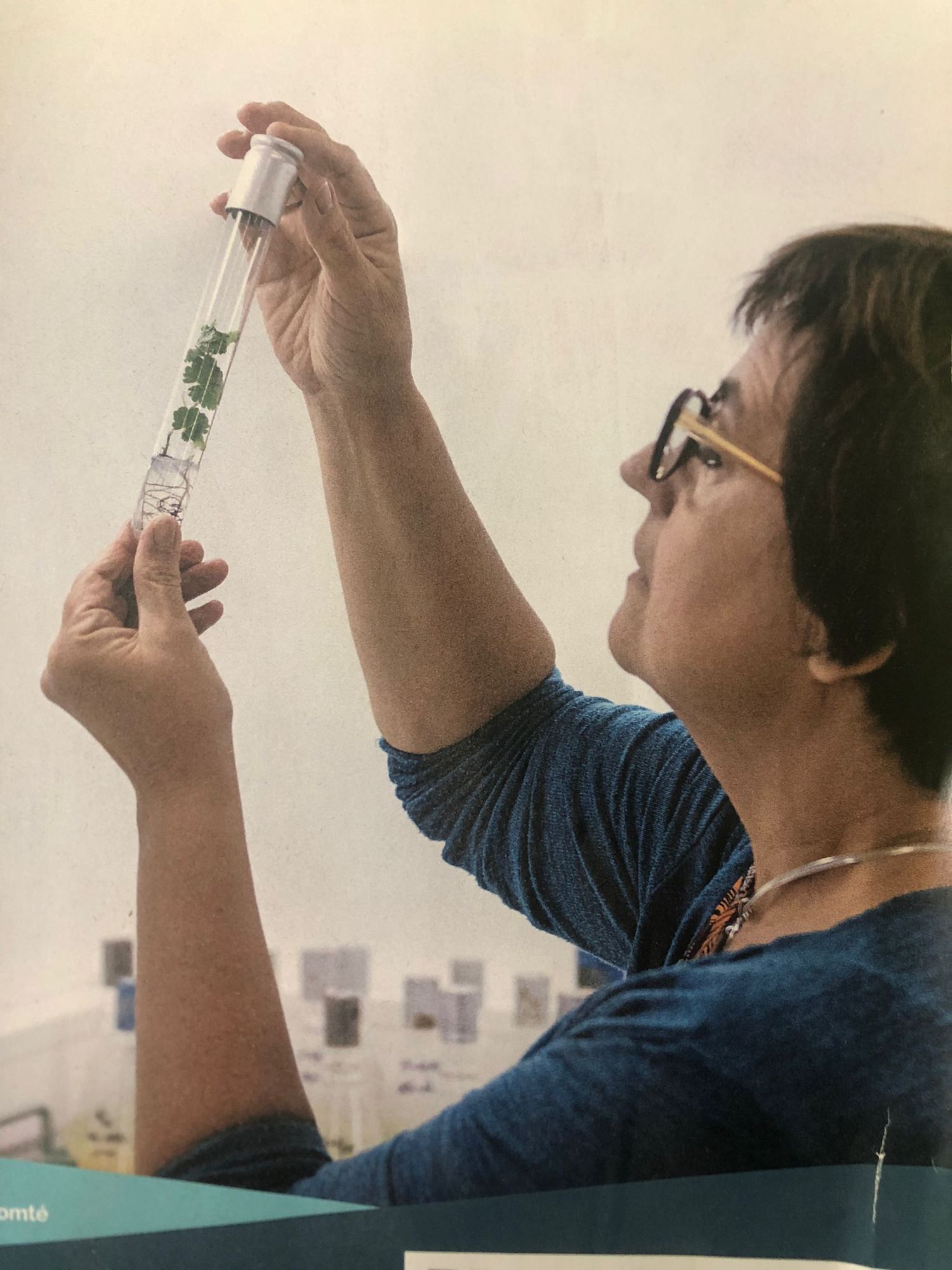 à partir de l'image, créé moi une image de style banksy sans modifier le visage, les lunettes et en laissant le tube à essai

