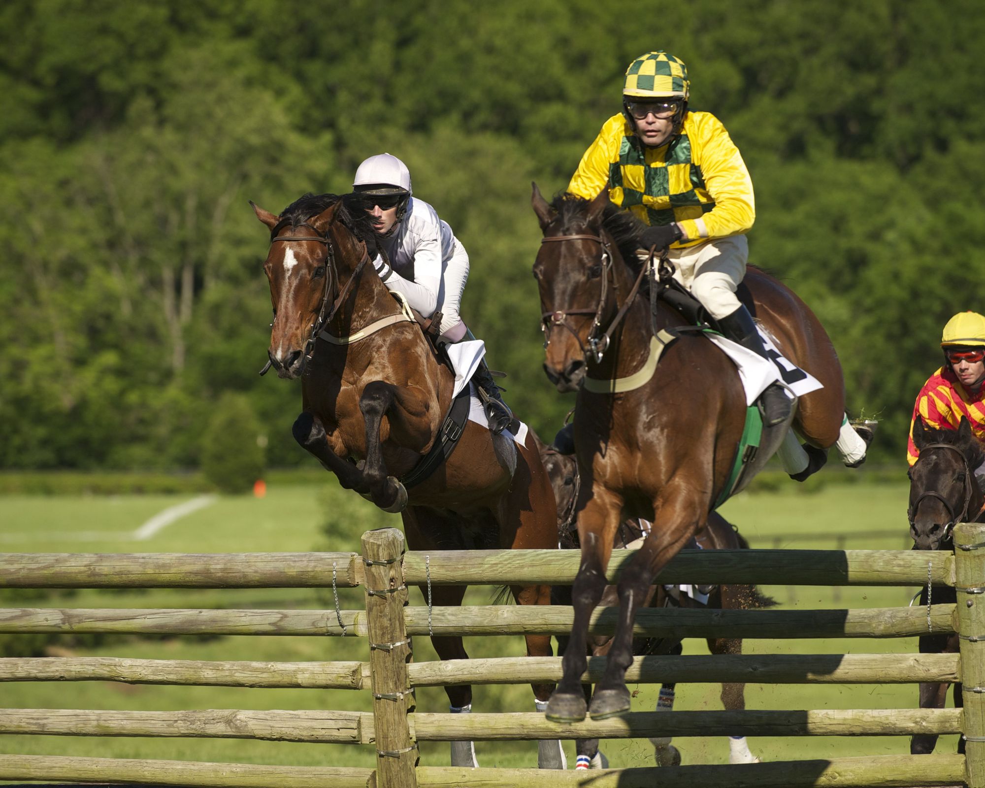 Steeplechase Horse Race