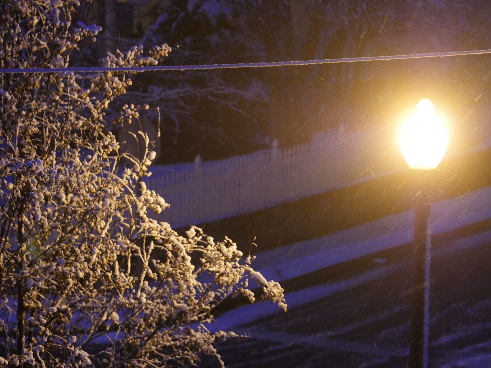 Deep in the forest is a clearing AI Generated Artwork NightCafe Creator