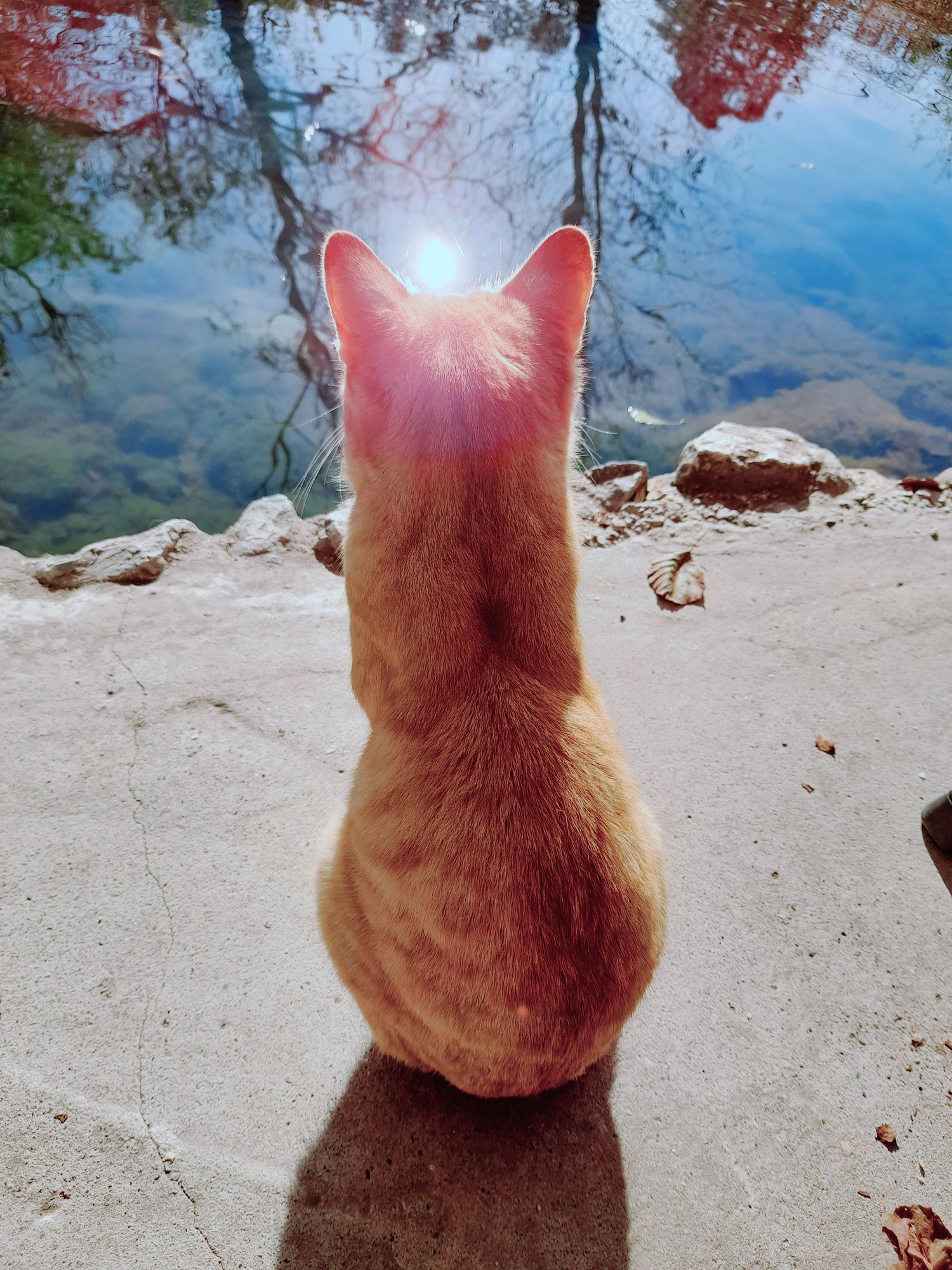 Image uploaded by user