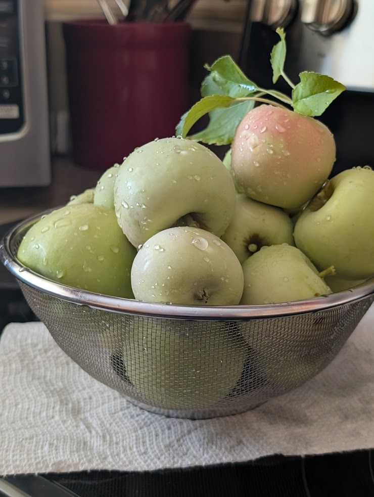 Apples from my tree.