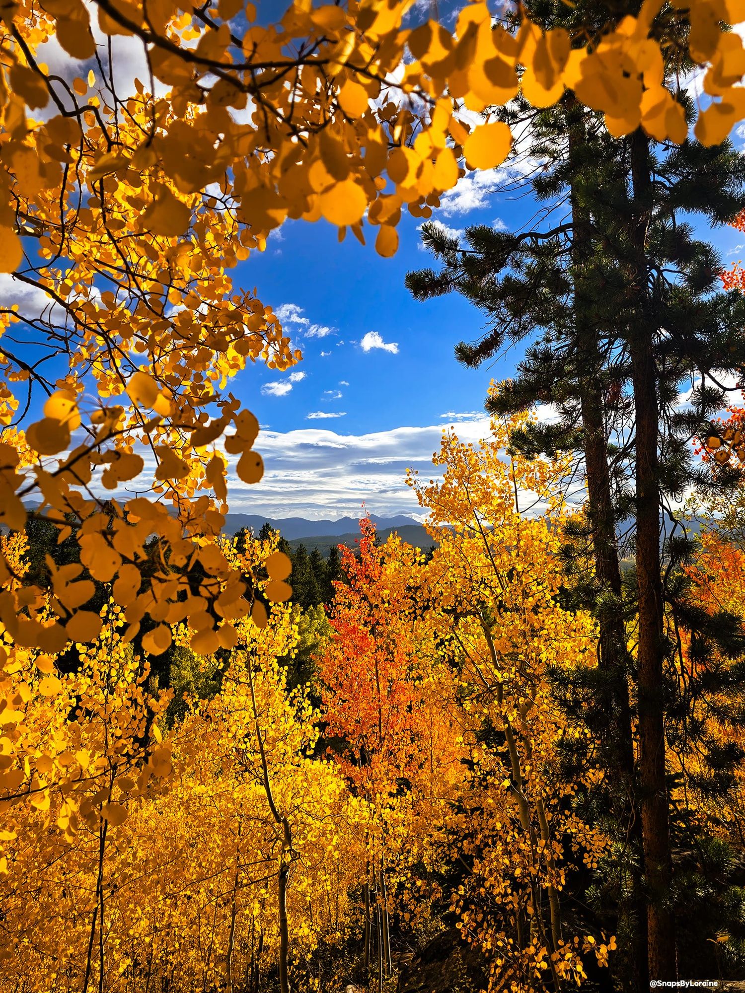 a beautiful autumn scene in impressionist style with thick impasto neo-impressionism expressionist style oil painting, smooth post-impressio...