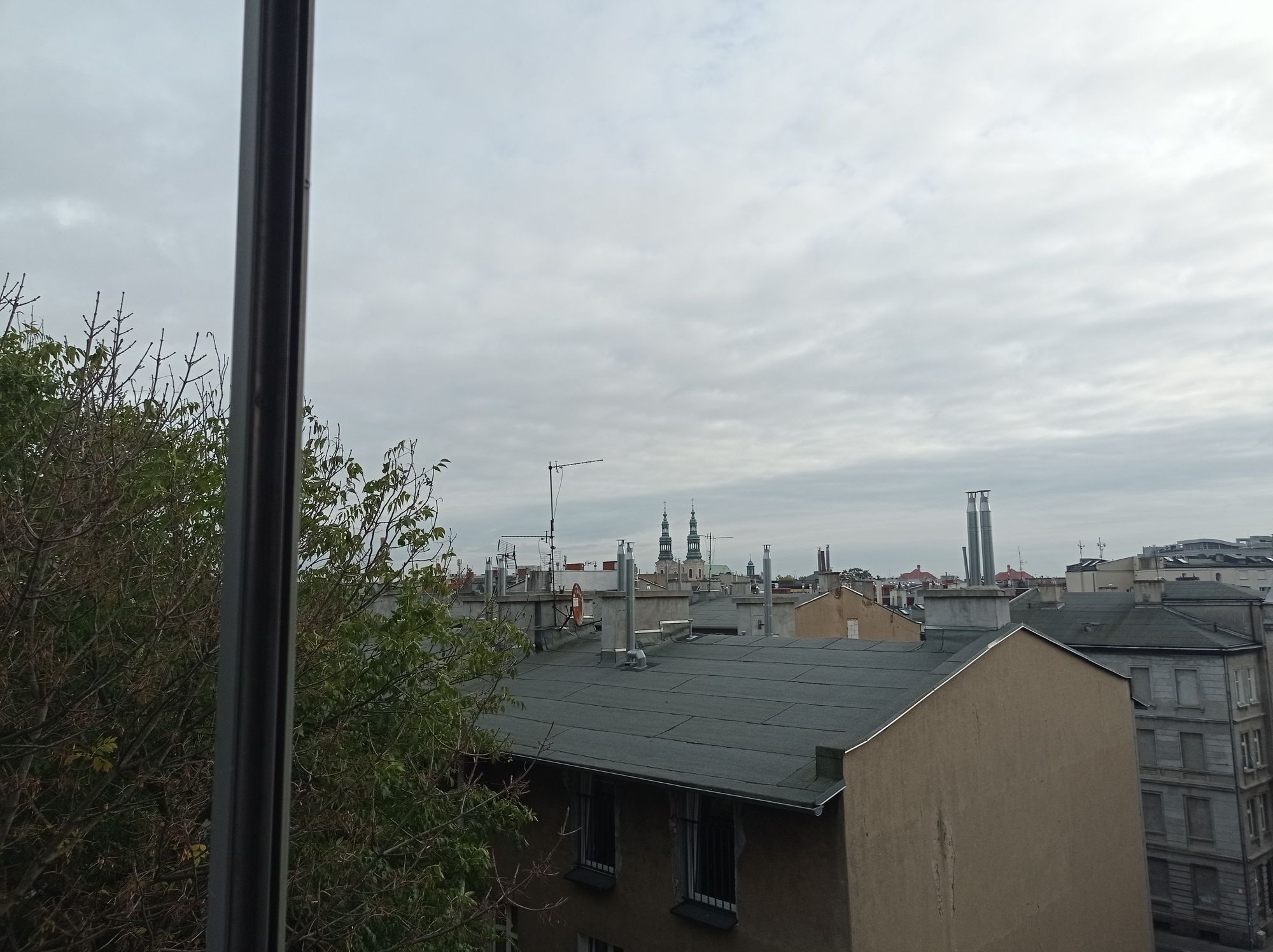 Image uploaded by user
