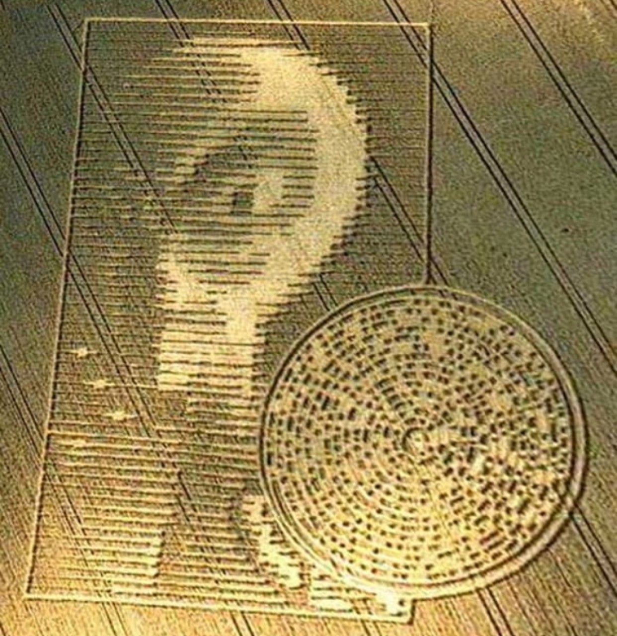 Image projected onto an auditorium wall for an audience of aliens