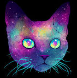 noob-ist noob that ever noob-ed