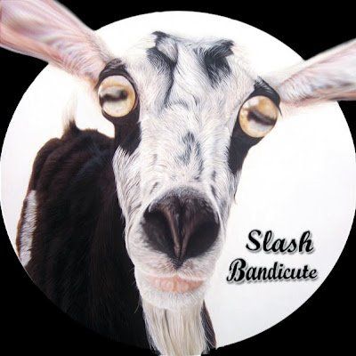 Slash Bandicute