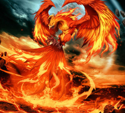 Image uploaded by user