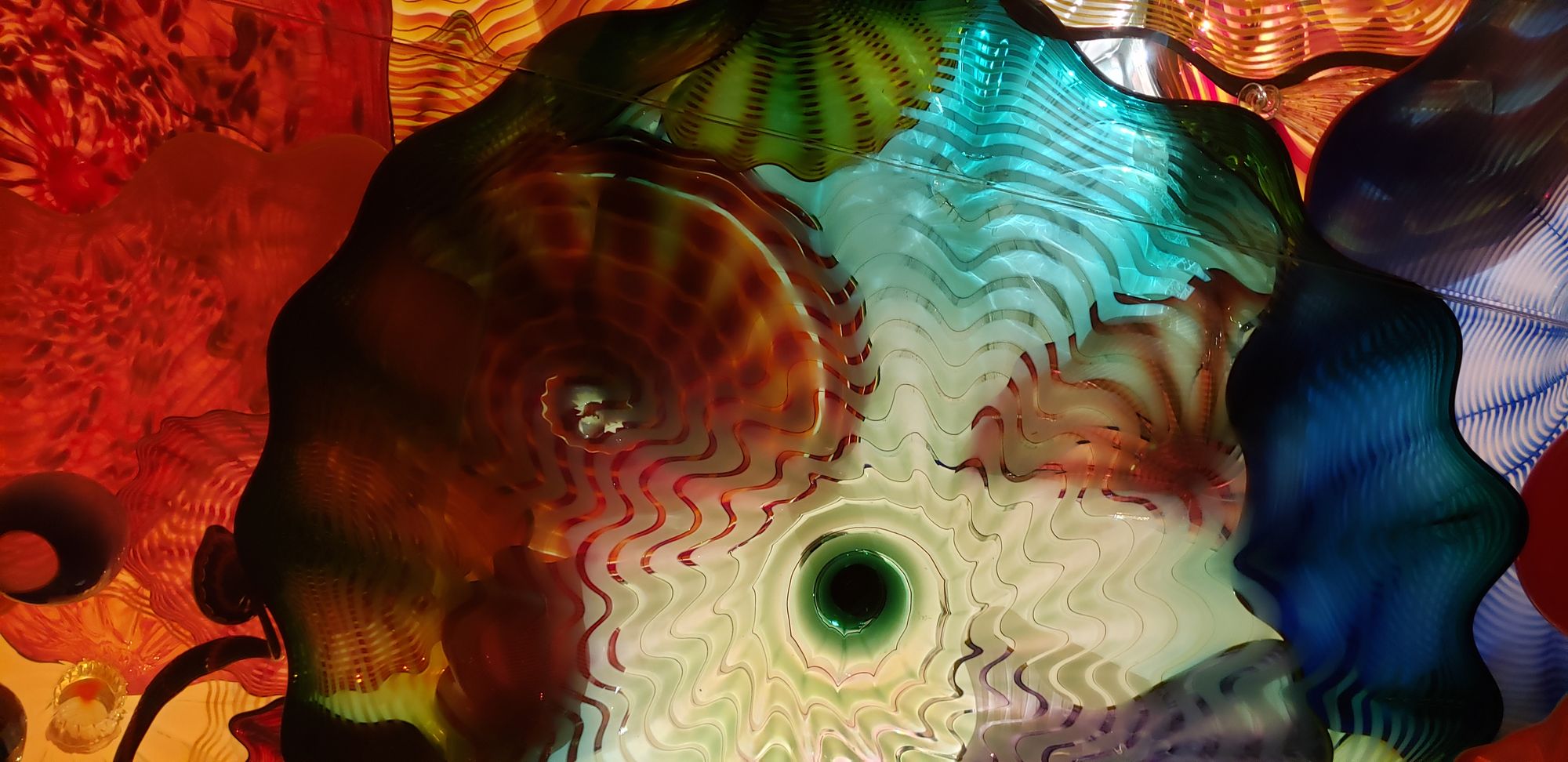 Whimsical, magical, wistful mushroom forest. Illustrated in full color. Exacting details. Mystical watercolor poster art. Many mushrooms.
By...