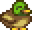 ACuteDuck