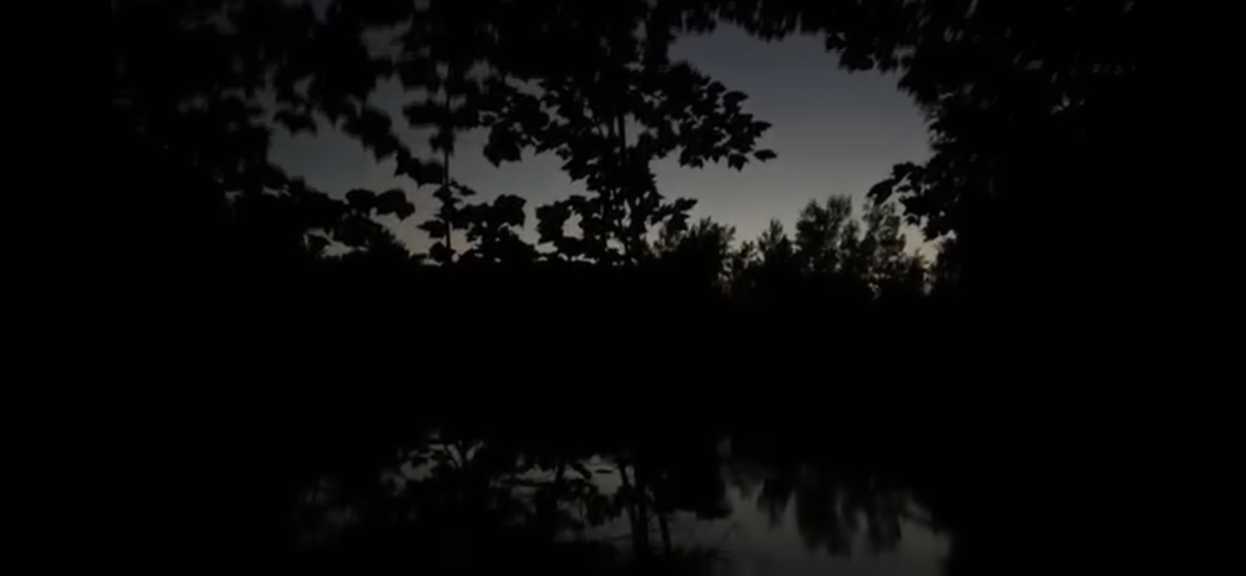 Standing at the foot of the frog pond I listen to the bull frogs echo their chorus across the water. As the sun begins to rise in the distan...