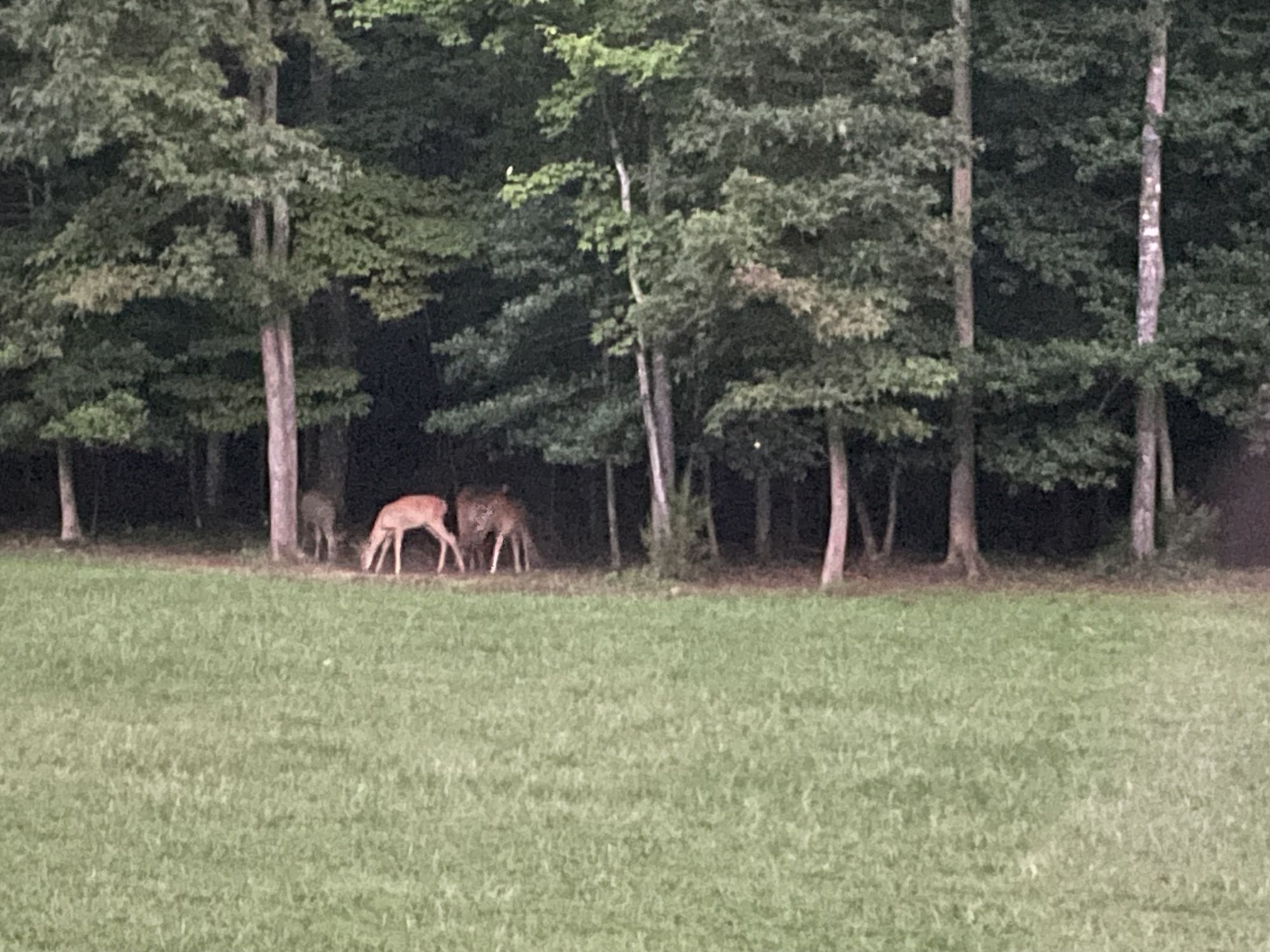 sharp focus, high def, hyper real, best quality 