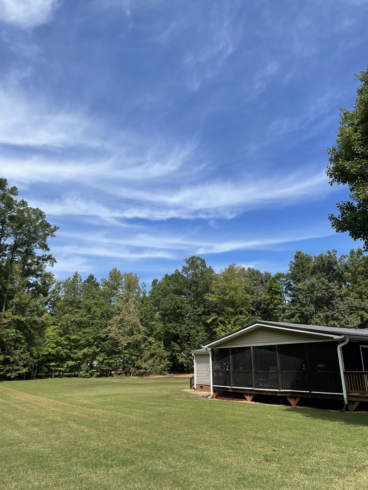 A tree surrounded yard, an old fashioned swing set, a screened in back porch house