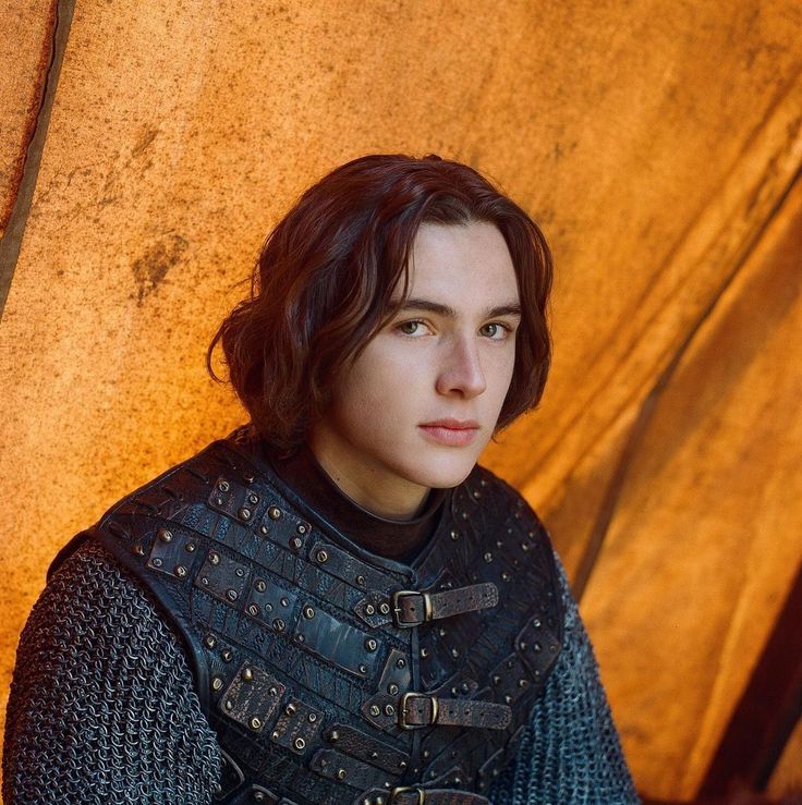 The series house of the dragon. A luxurious medieval hall where everything looks refined and luxurious. There is a young and handsome prince...