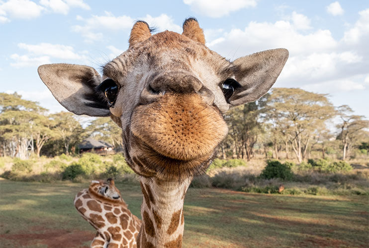 I_May_Know_What_Im_Doing