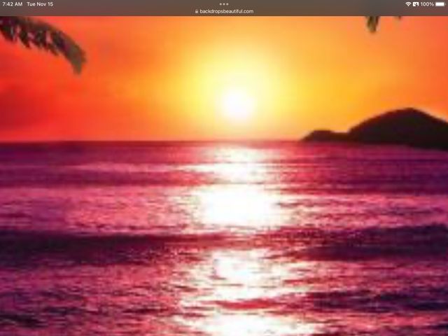 Image uploaded by user