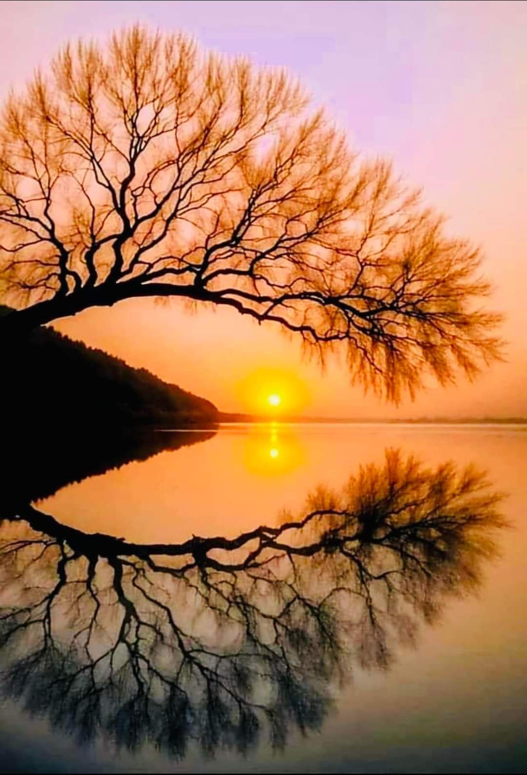 By Virginia Frances Sterrett