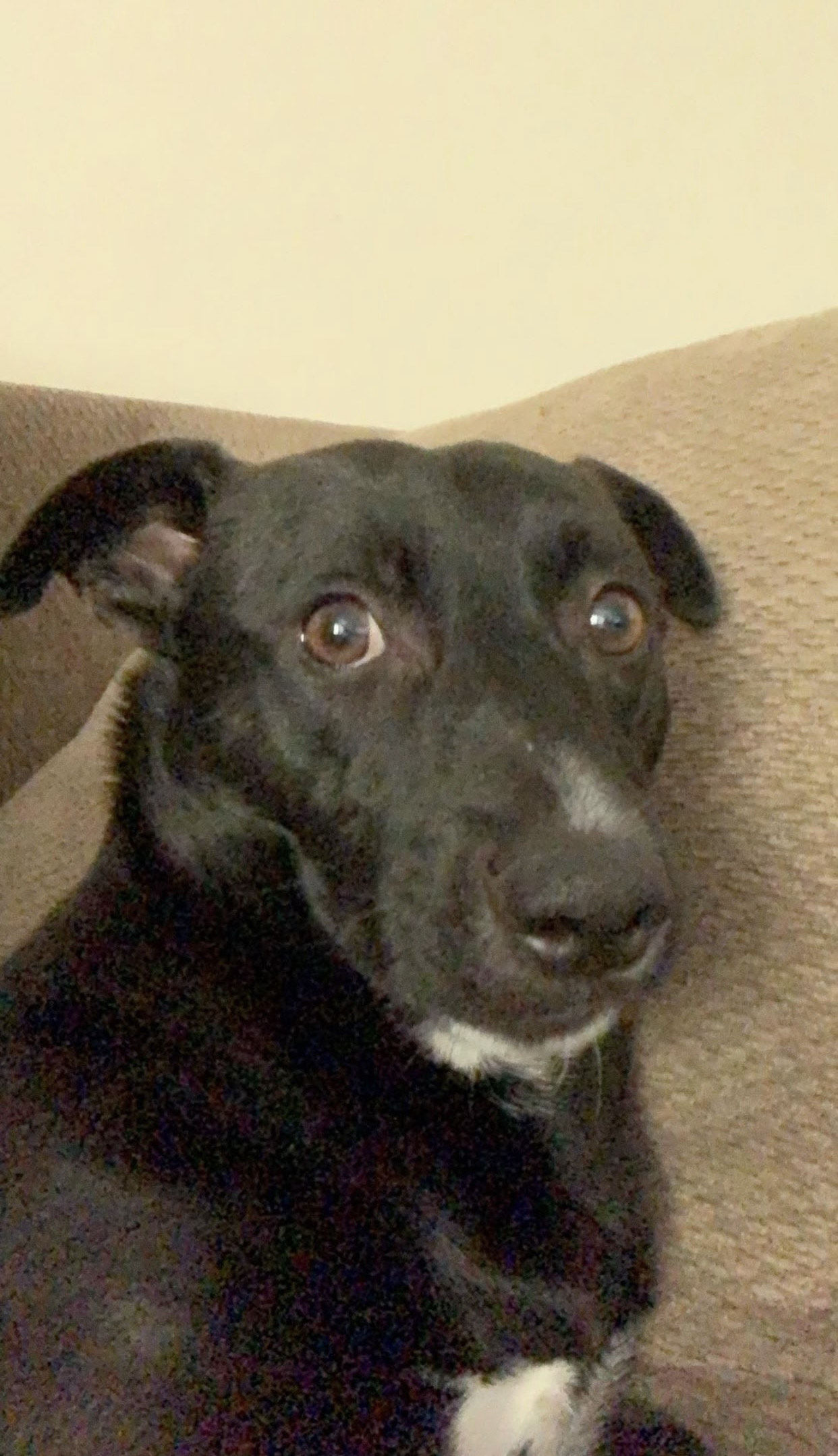 random loaf of bread