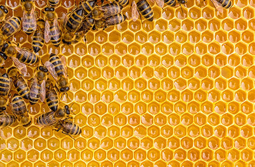 sunshine over the mountains Jordan Grimmer complementary colors detailed painting modern art photorealism pastels 3D shading 3Delight CGSoci...