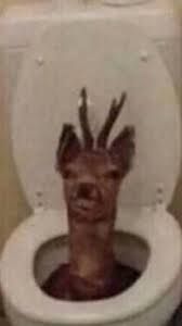 Deer In a toilet- Help-