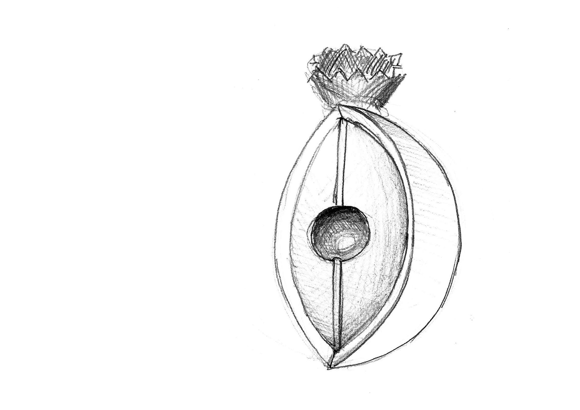 a hyper-realistic detailed 3D Render of a perfume bottle on a simple white background. 

the bottle design is a concaved crescent moon shape...