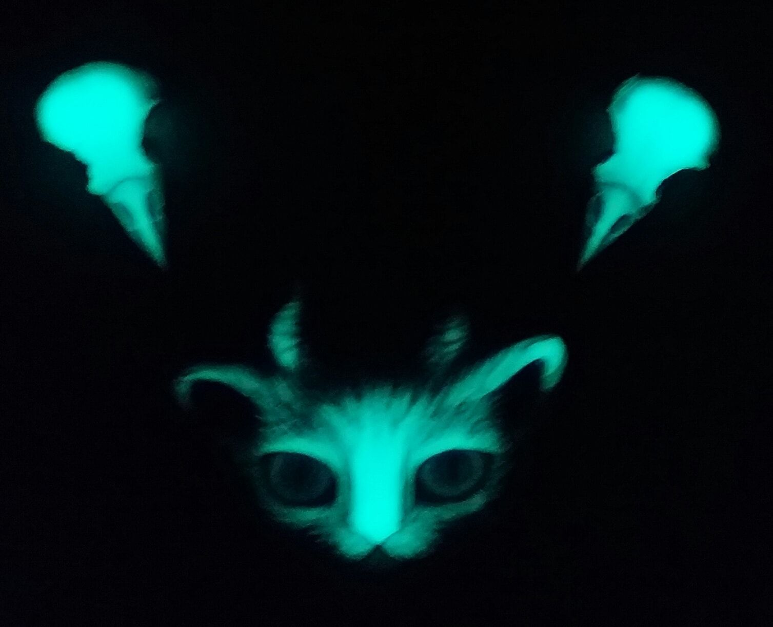 Night Wisp