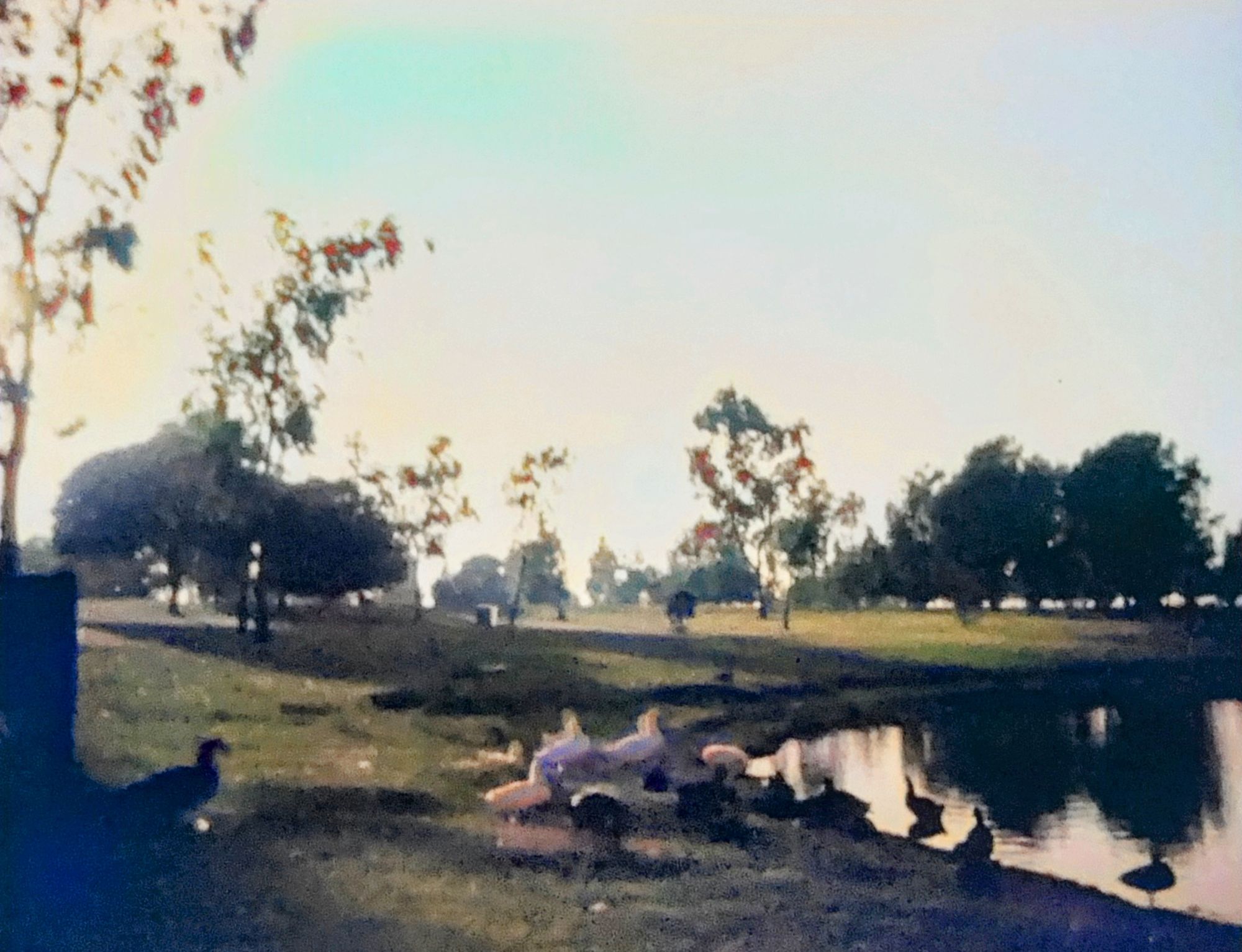 Image uploaded by user