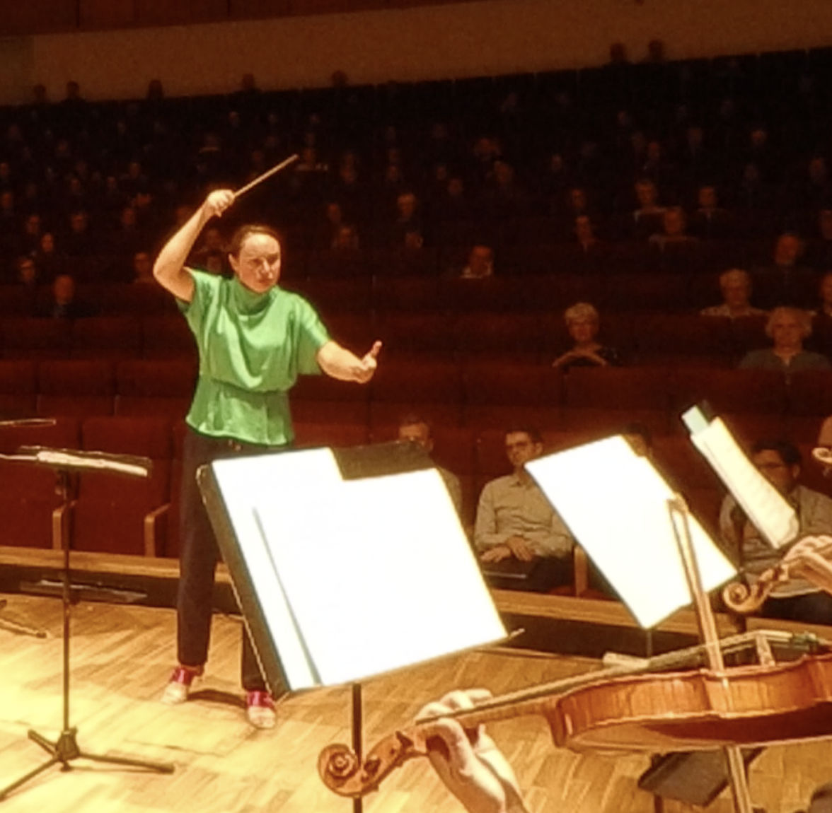 Image uploaded by user