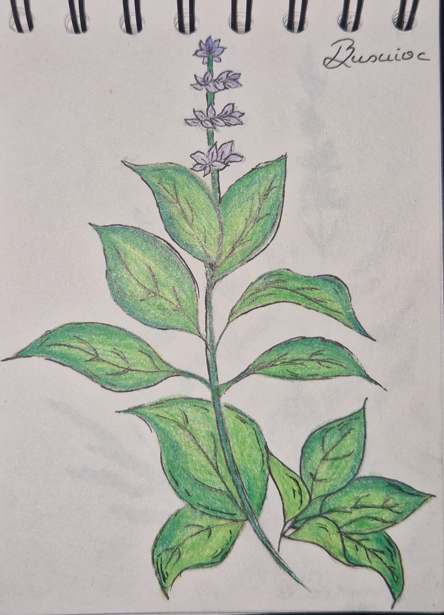 Keep the drawing as it i, same colors.Simple backround, light yellow. grainy style all over. it needs too look like a print that belongs on ...