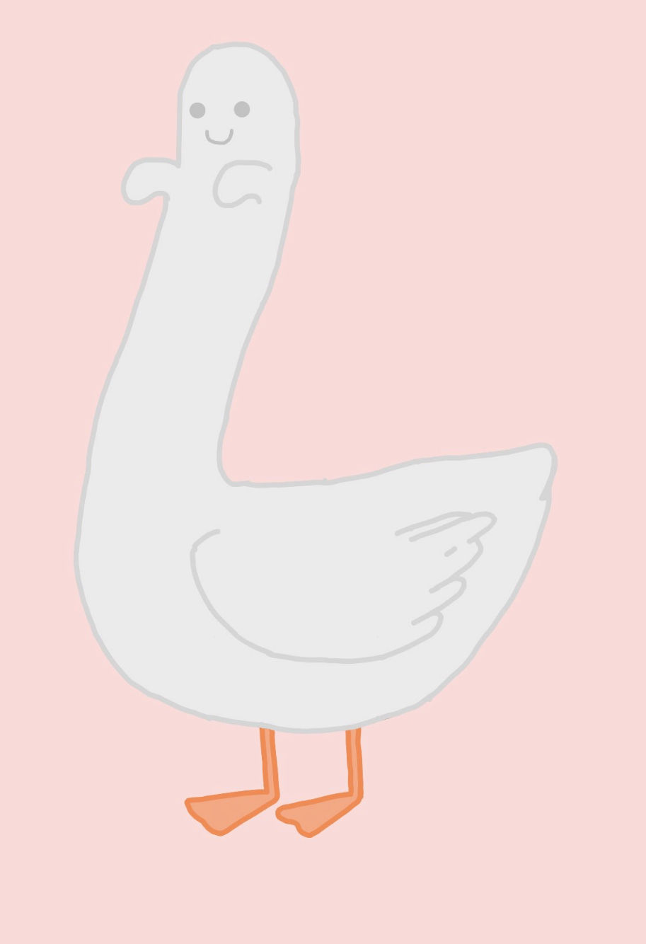 A white duck with a really long neck