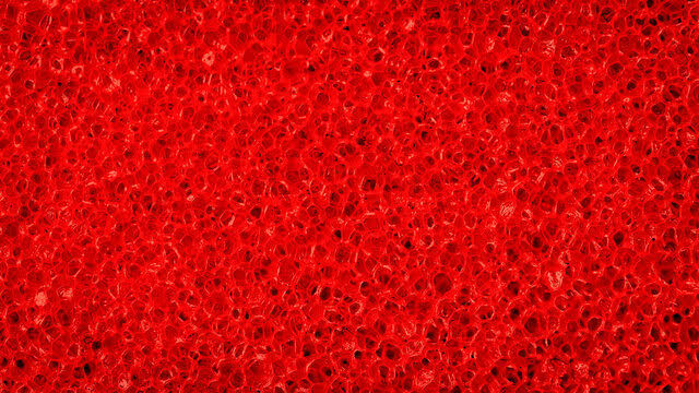 The Red Sponge